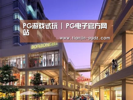 案例展示一