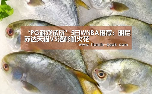 PG电子官方网站