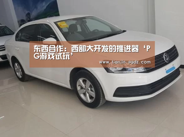 pg模拟器